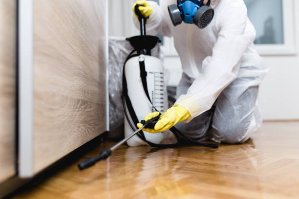 Pest Prevention Services in West Belmar, NJ