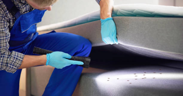 Best Insect Control  in West Belmar, NJ