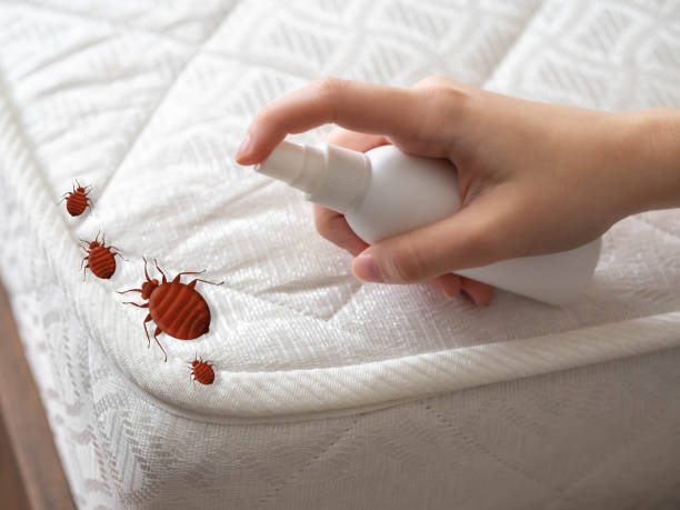 Best Pest Prevention Services  in West Belmar, NJ