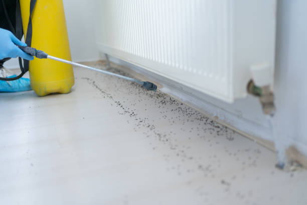 West Belmar, NJ Pest Control Company