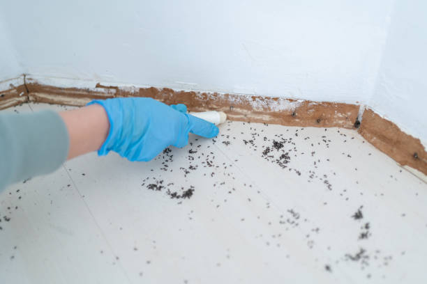 Best Residential Pest Control  in West Belmar, NJ