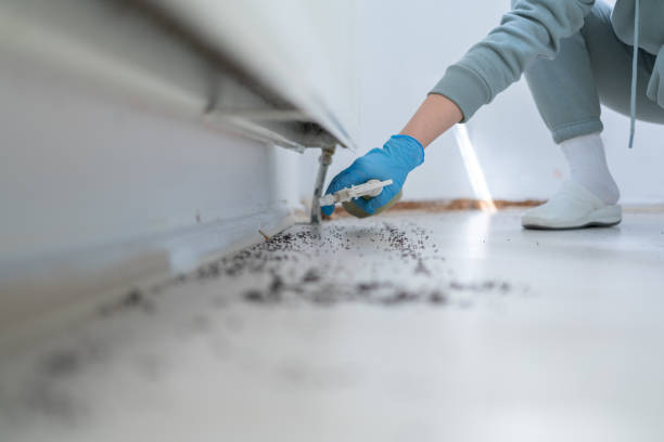 Best Pest Removal Services  in West Belmar, NJ
