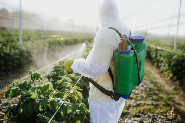 Best Mosquito Control Services  in West Belmar, NJ